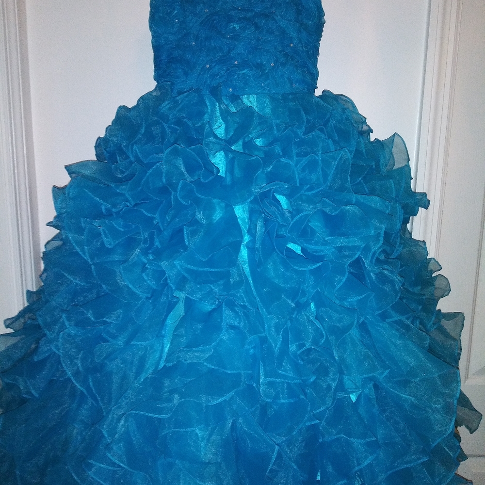 Girls Size 8 Ruffled Chifon Gown Dress